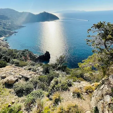 Maddy House - 50 Mt Dal Mare Ferienhaus